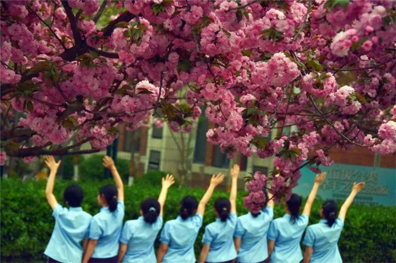 不负春光不负你488.png 不负春光不负你488.png