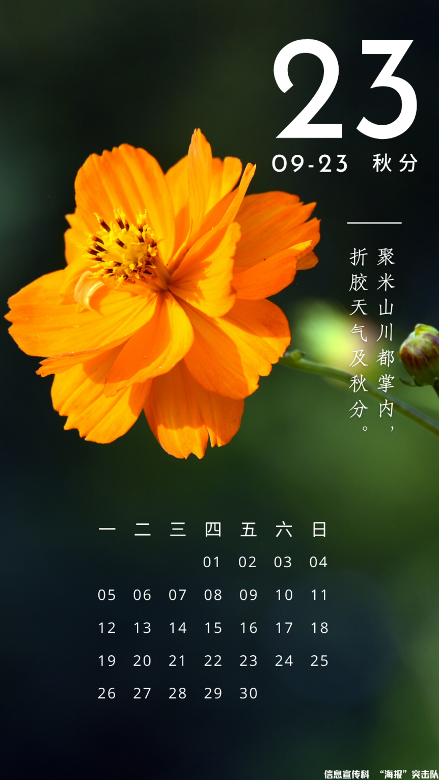 image013.png image013.png