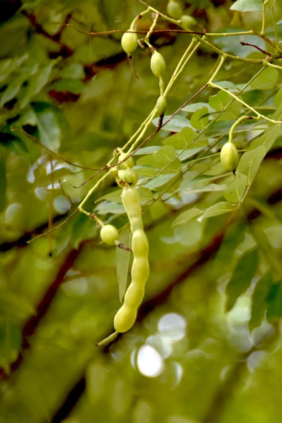 image012.jpg