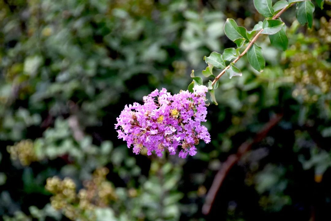 image005.jpg