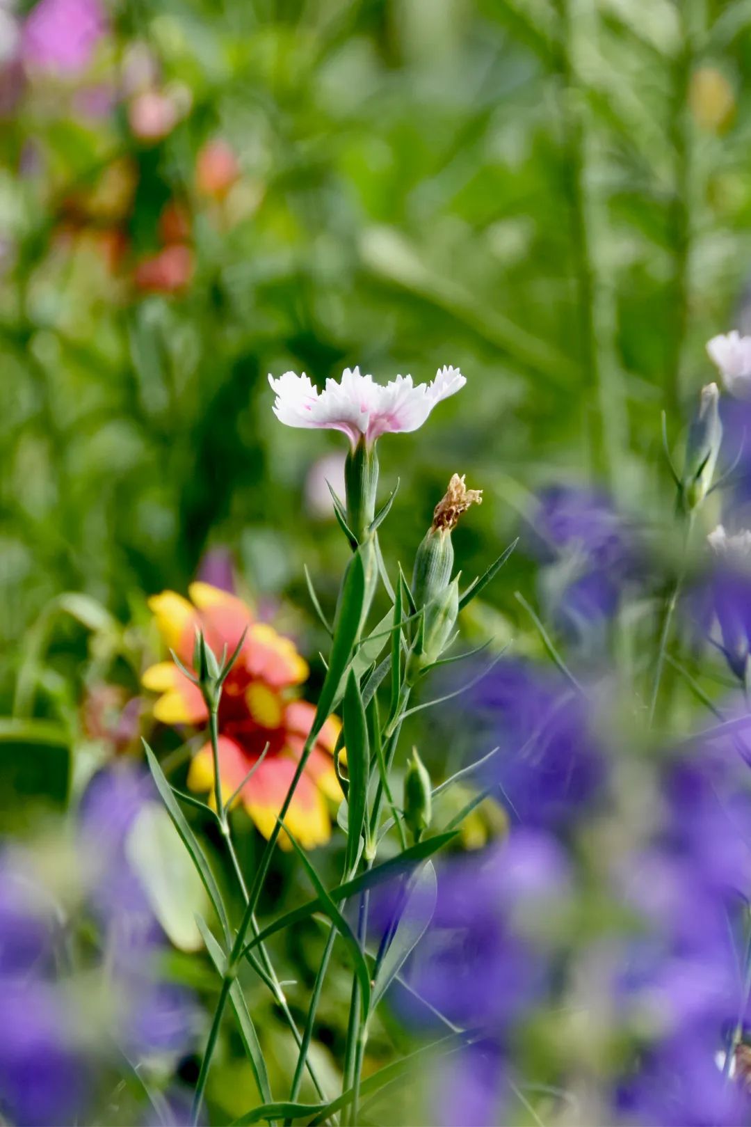image010.jpg