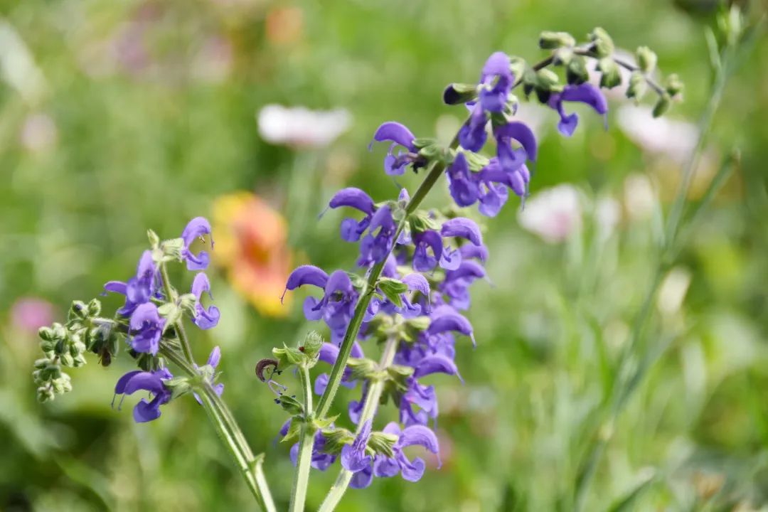 image009.jpg