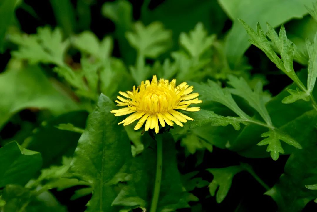 image015.jpg