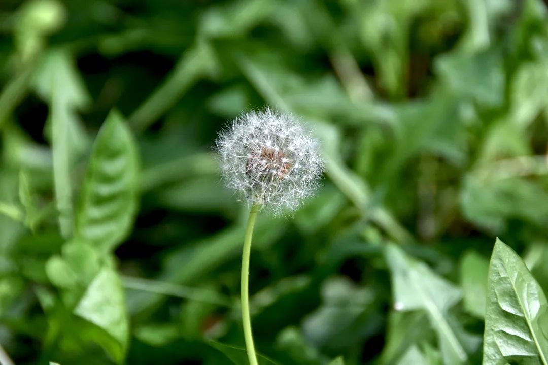 image013.jpg