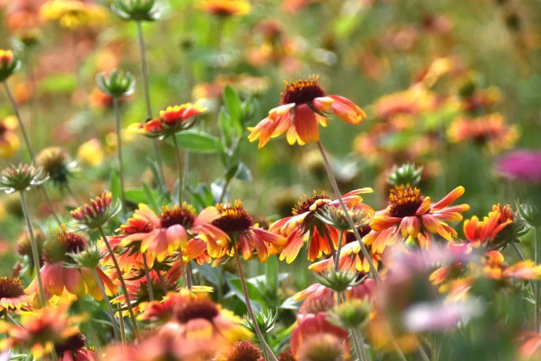 image011.jpg