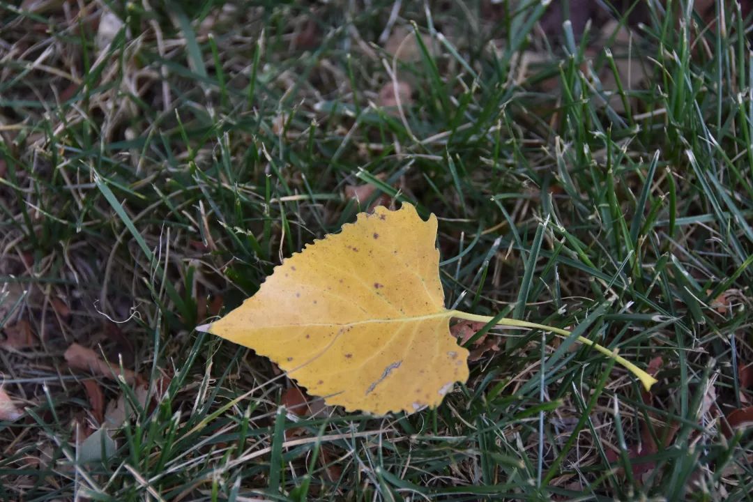 image014.jpg