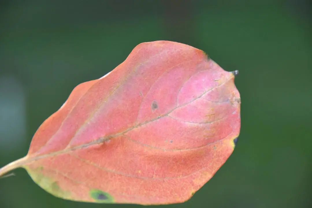 image012.jpg