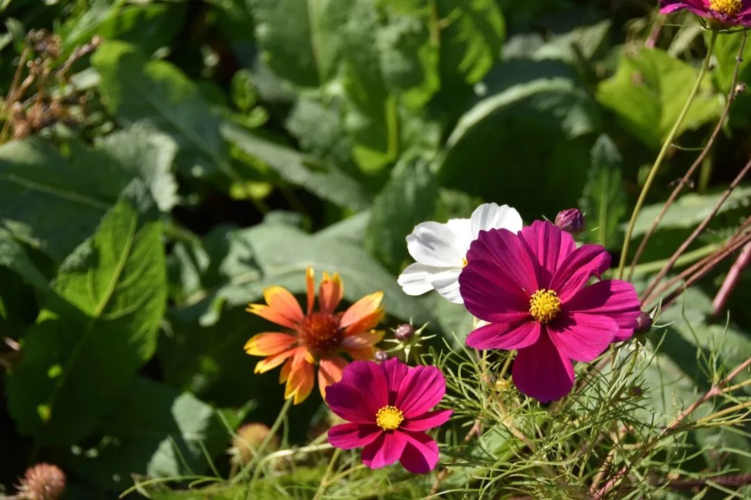 image038.jpg