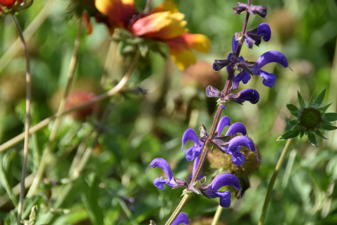 image034.jpg