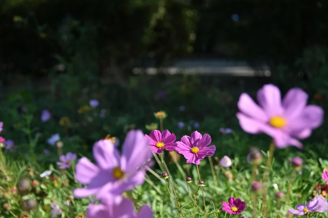 image032.jpg