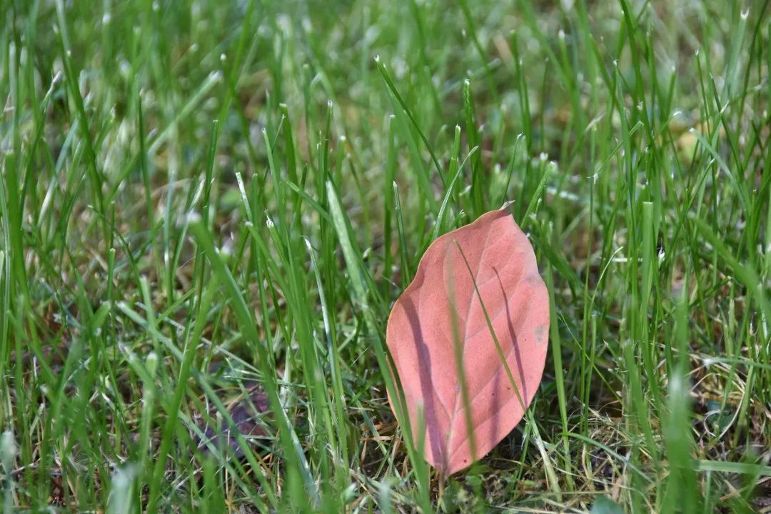 image042.jpg