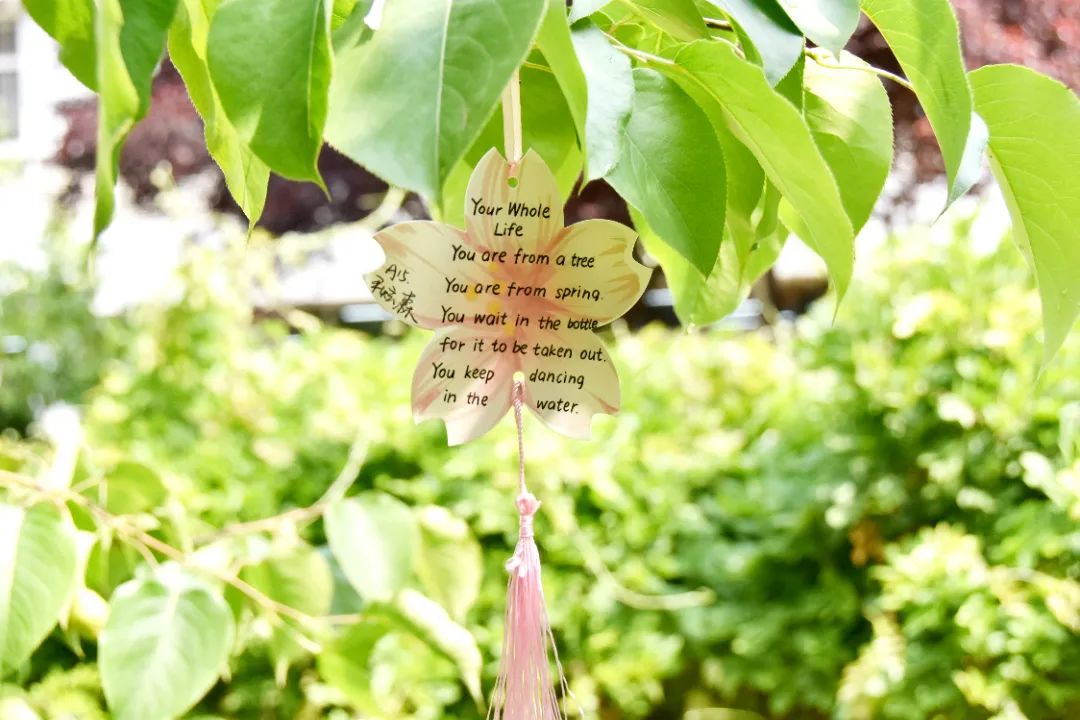 image008.jpg
