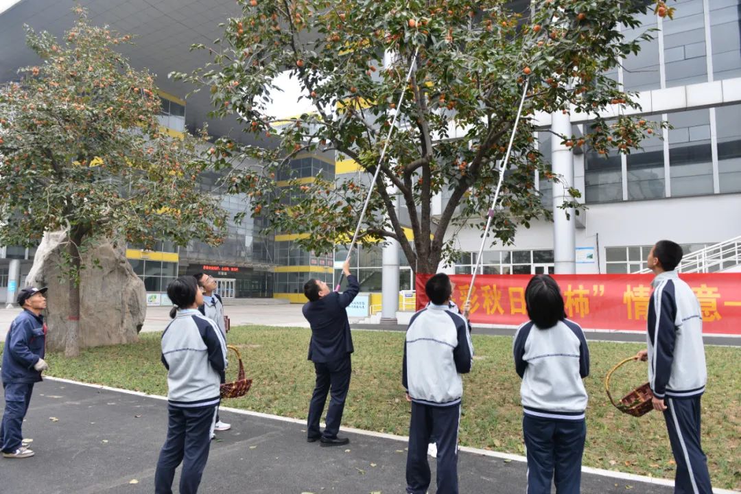 image006.jpg