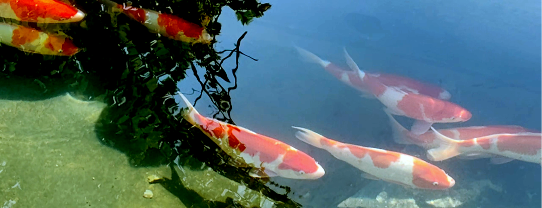 image014.png