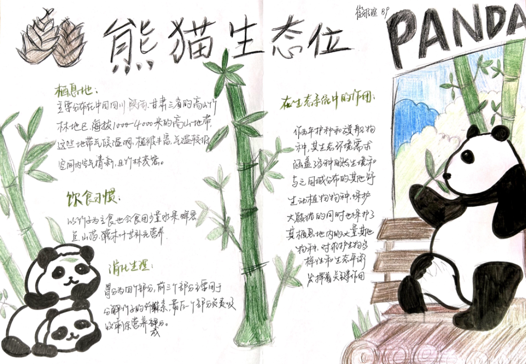 image028.png