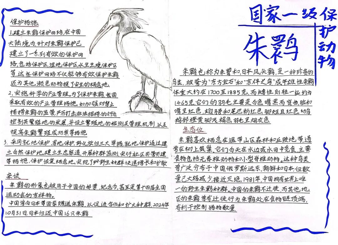 image020.jpg
