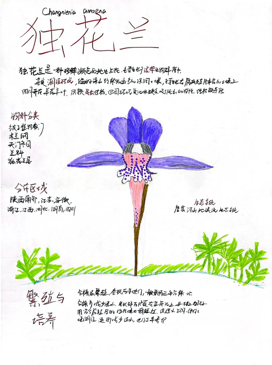 image067.jpg