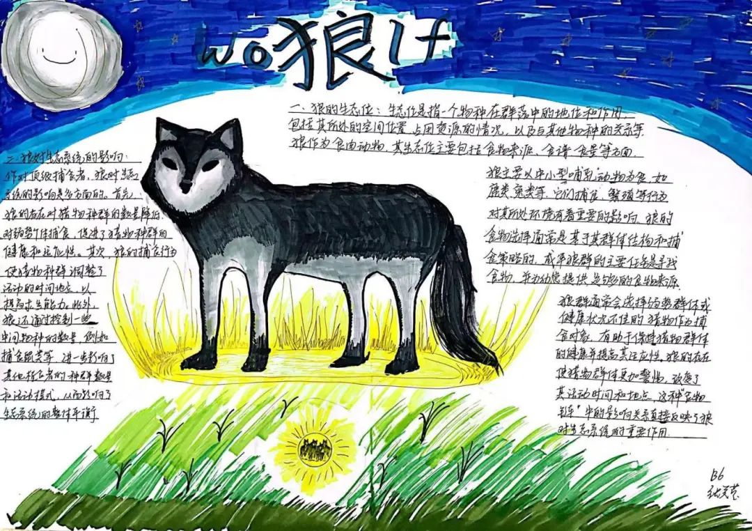 image063.jpg