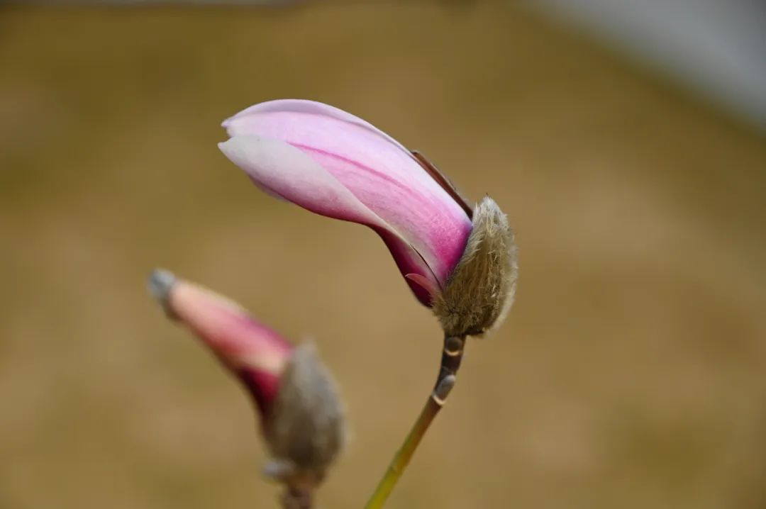 image002.jpg