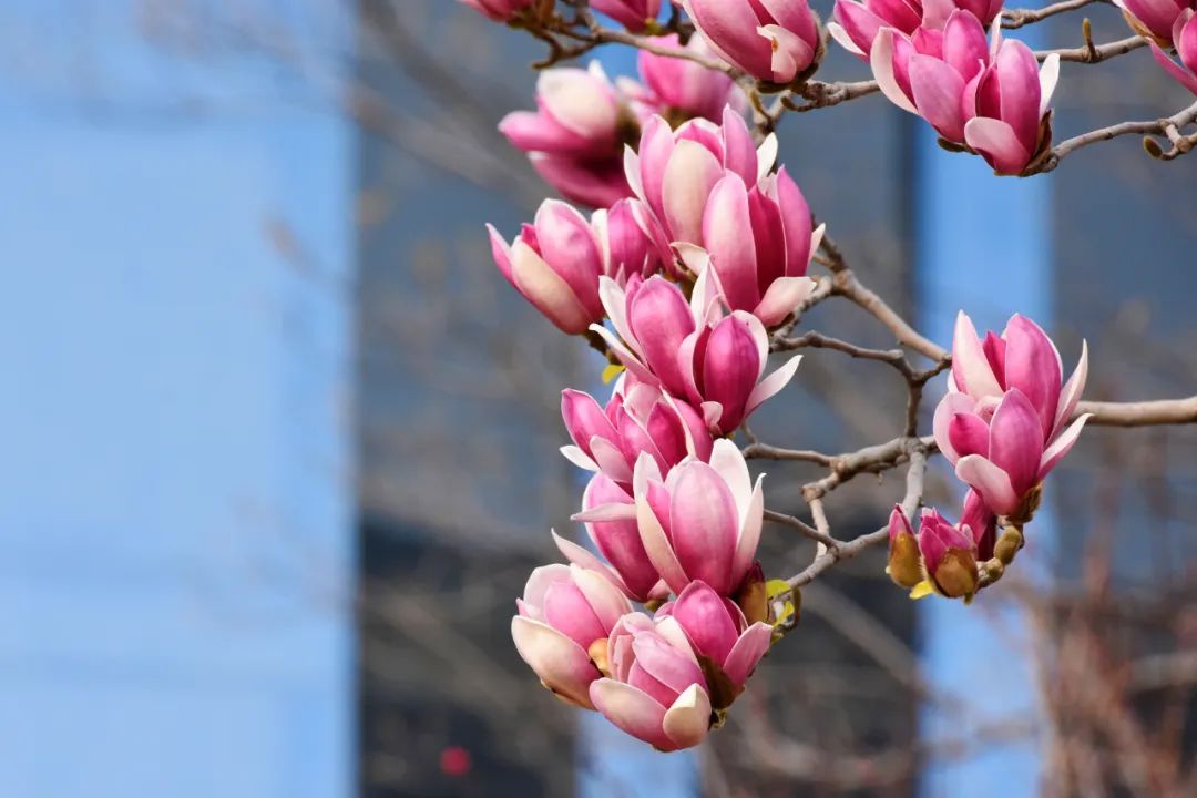 image040.jpg
