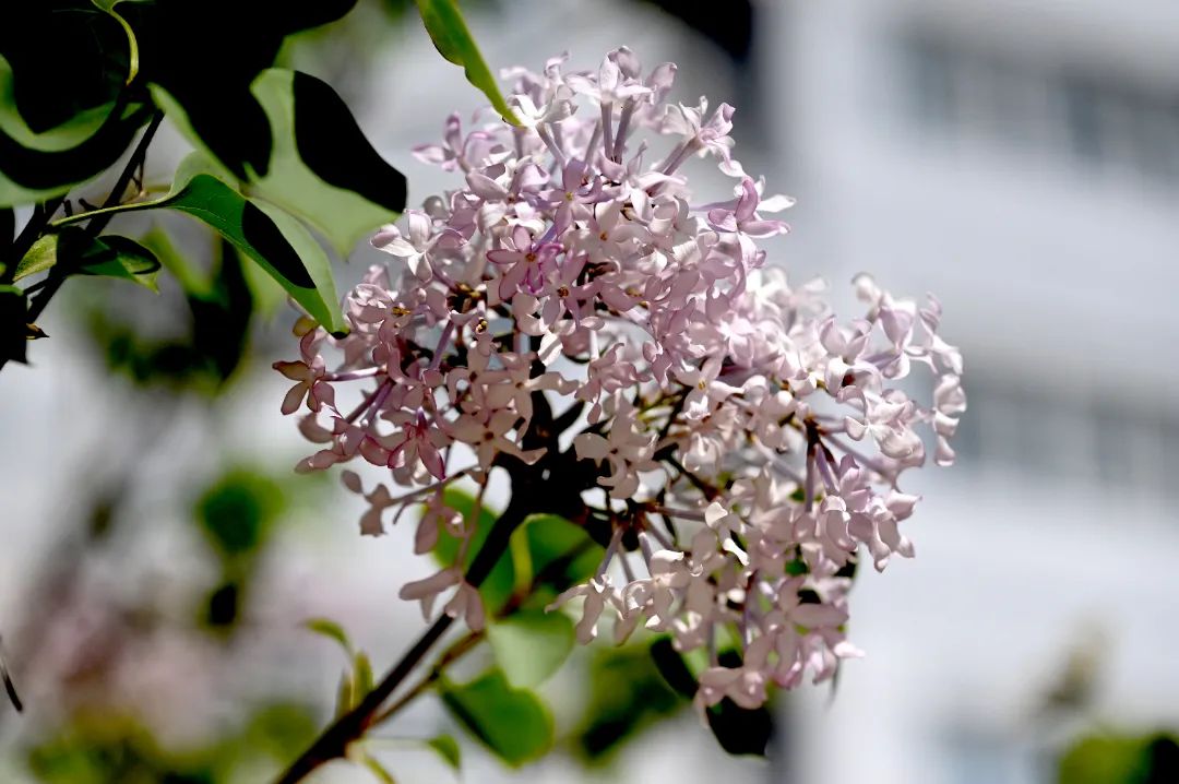 image012.jpg