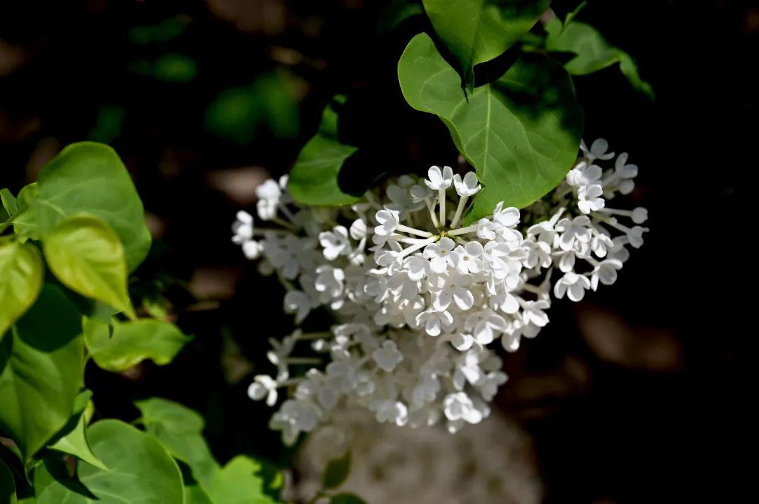 image020.jpg