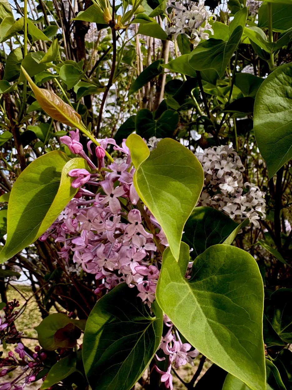 image030.jpg
